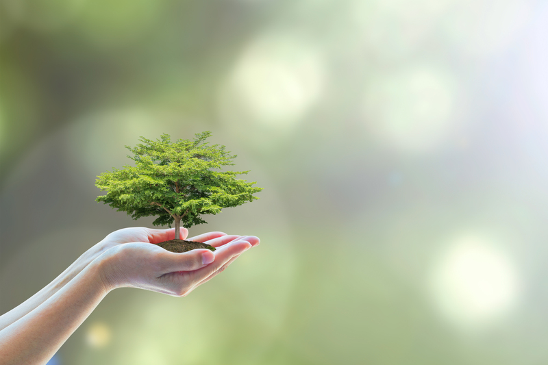 Rethinking Waste with Renewable Energy Technology